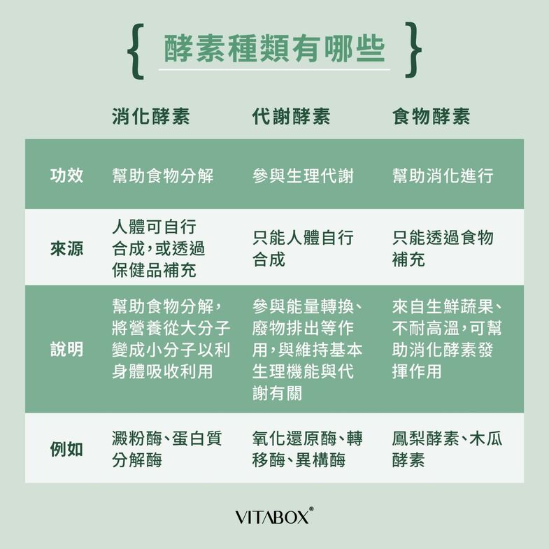 酵素種類比較